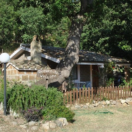 Azienda Agricola Biologica La Cardellina Tolfa Exteriér fotografie