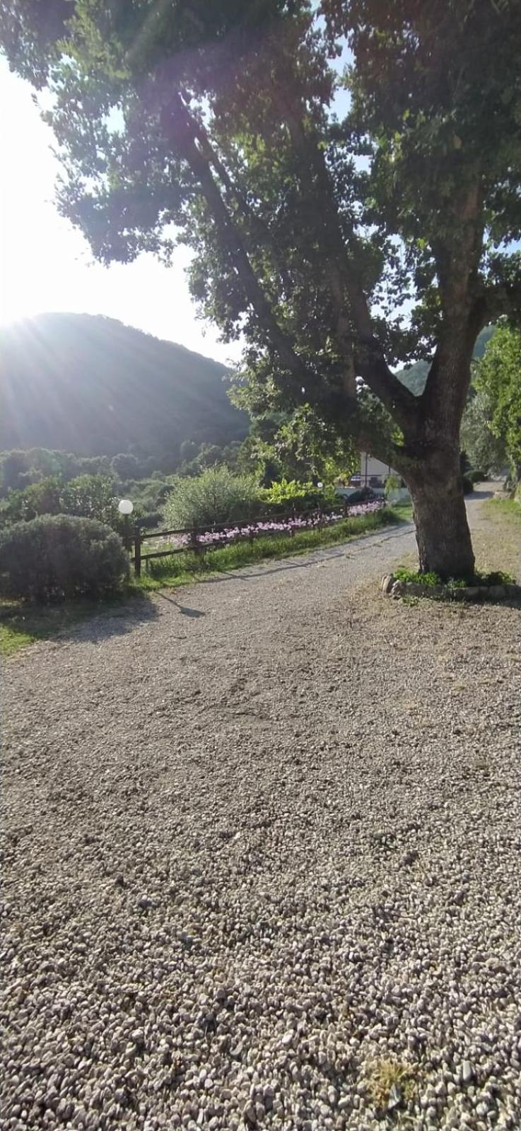Azienda Agricola Biologica La Cardellina Tolfa Exteriér fotografie