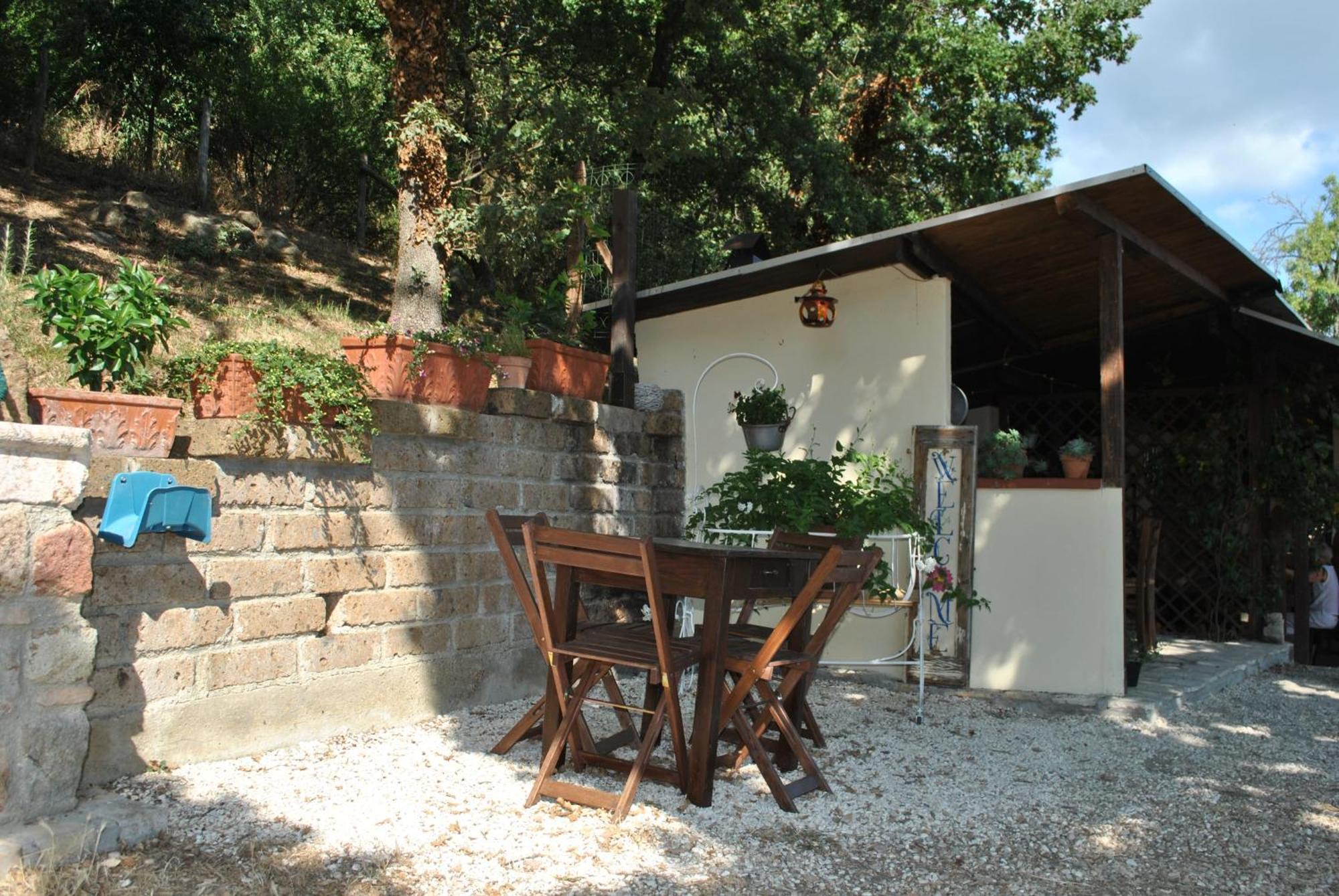 Azienda Agricola Biologica La Cardellina Tolfa Exteriér fotografie
