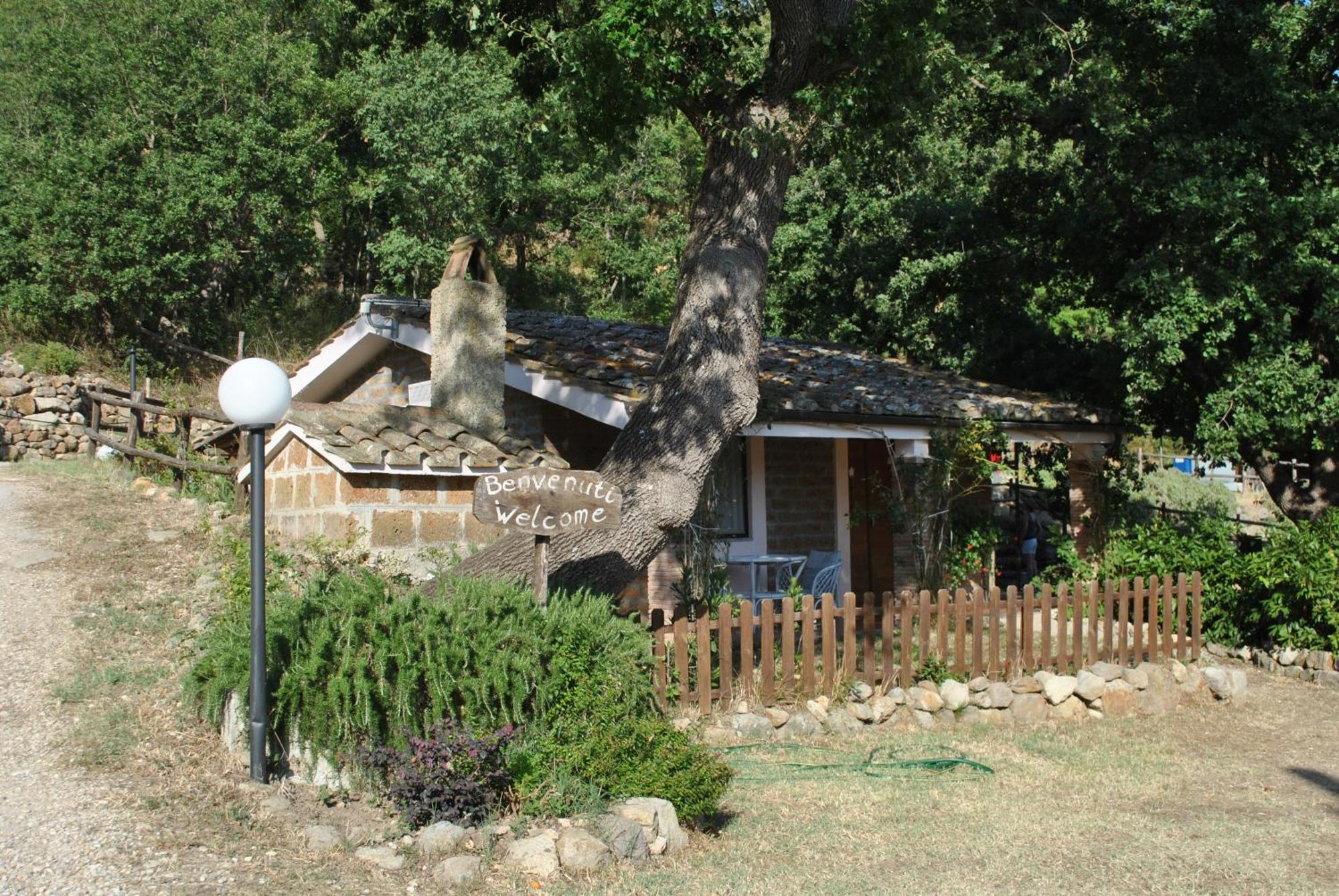 Azienda Agricola Biologica La Cardellina Tolfa Exteriér fotografie