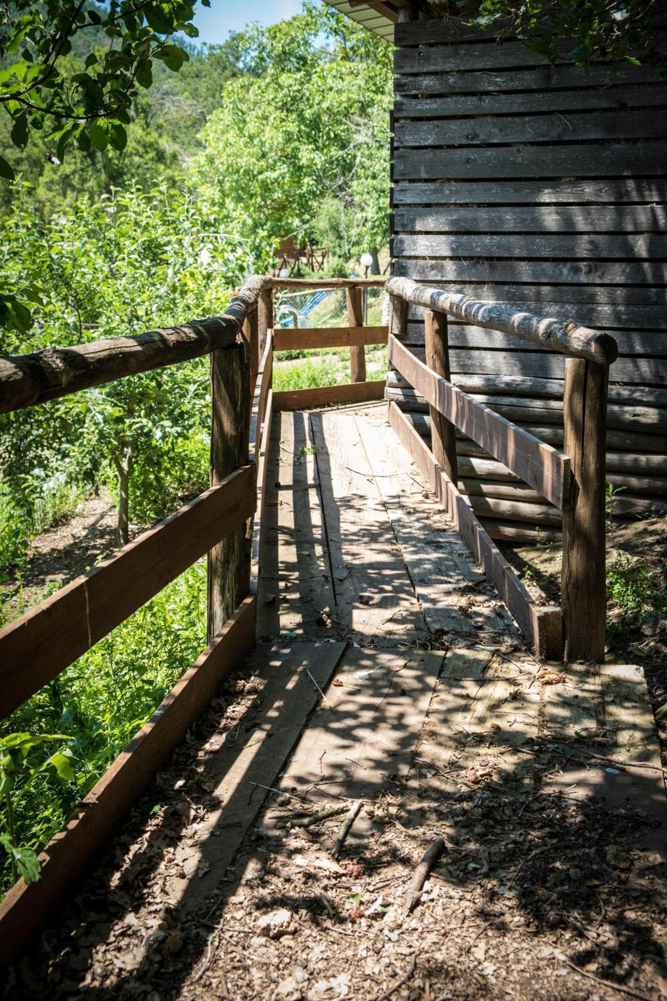 Azienda Agricola Biologica La Cardellina Tolfa Exteriér fotografie