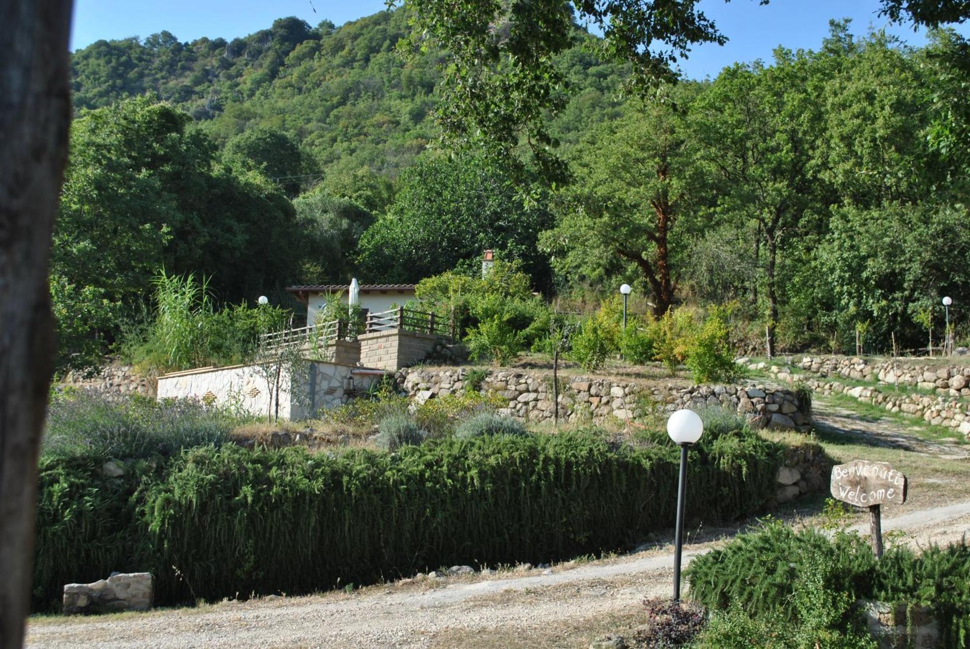 Azienda Agricola Biologica La Cardellina Tolfa Exteriér fotografie
