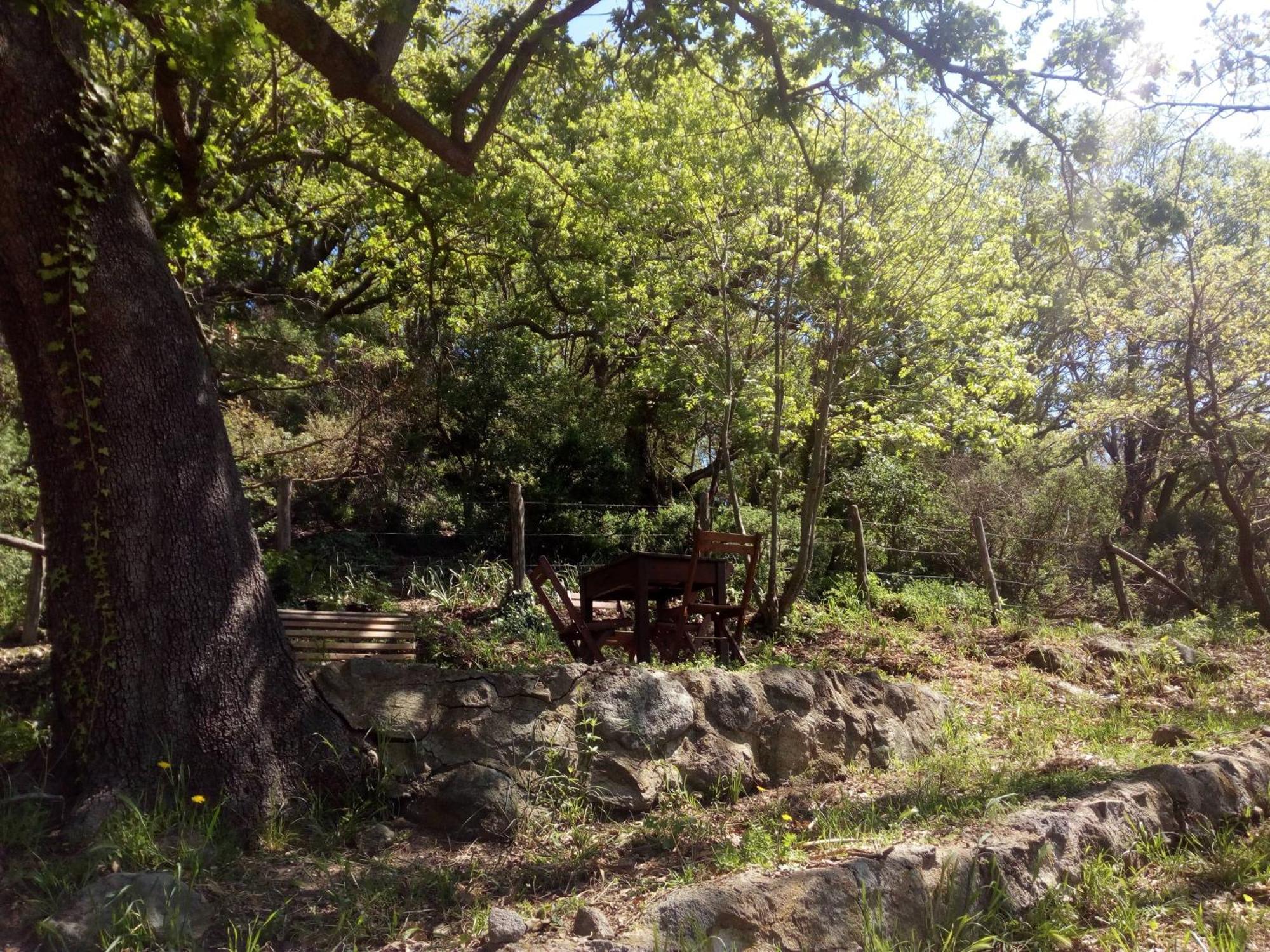Azienda Agricola Biologica La Cardellina Tolfa Exteriér fotografie