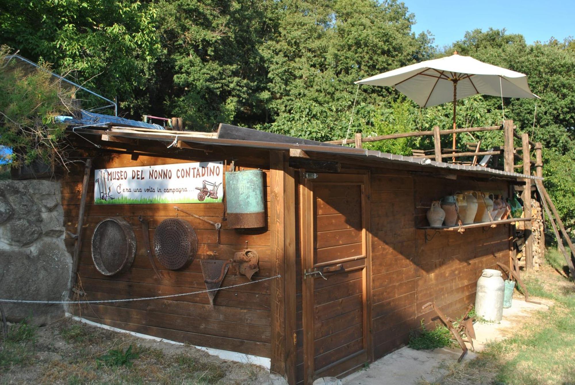 Azienda Agricola Biologica La Cardellina Tolfa Exteriér fotografie