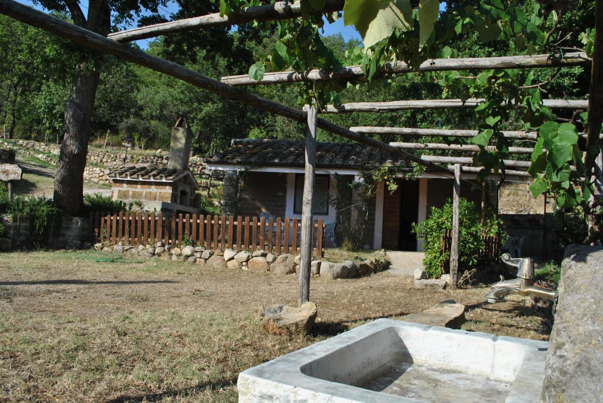 Azienda Agricola Biologica La Cardellina Tolfa Exteriér fotografie