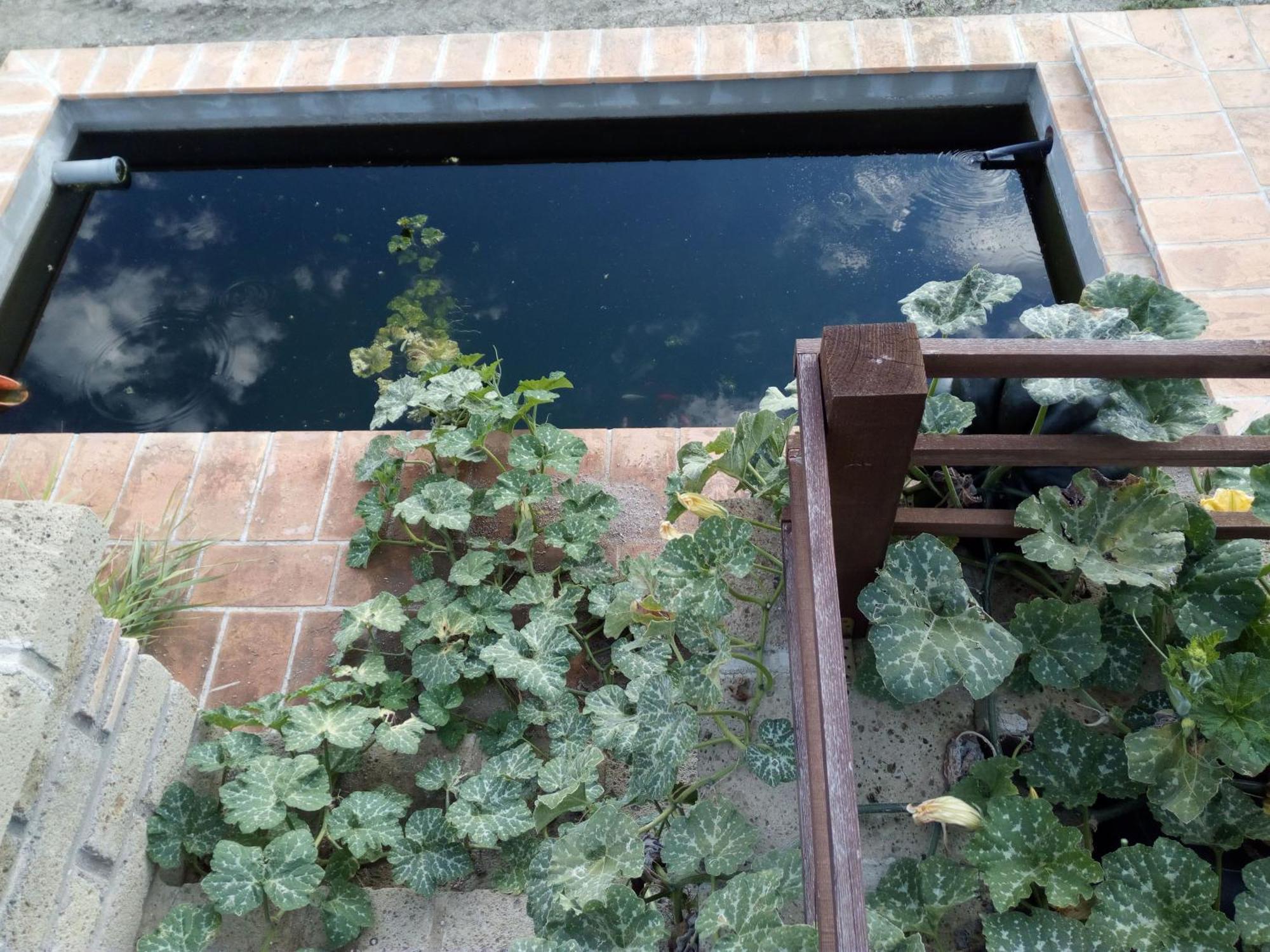 Azienda Agricola Biologica La Cardellina Tolfa Exteriér fotografie