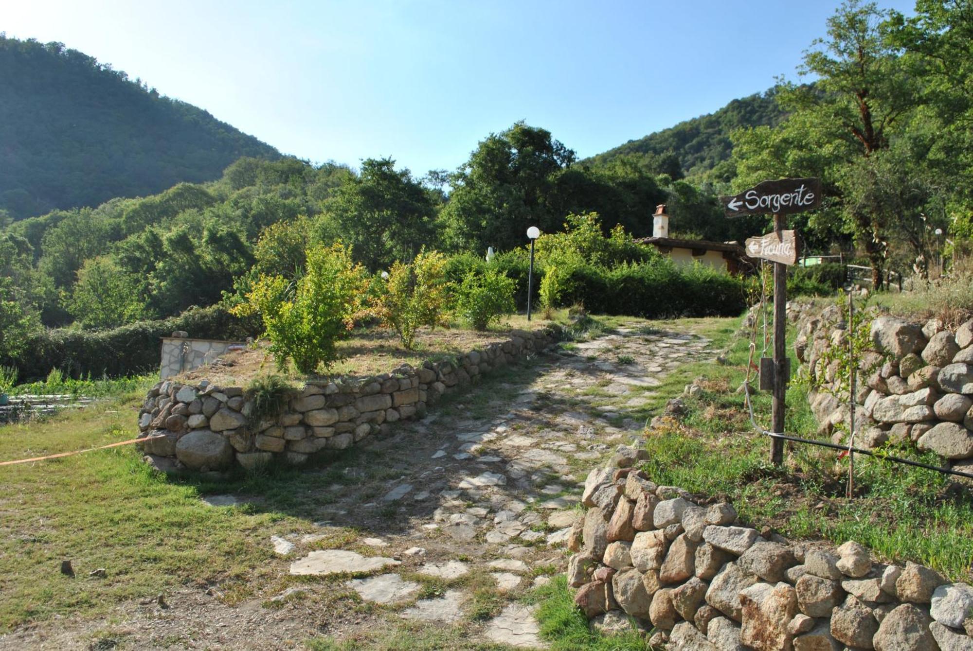 Azienda Agricola Biologica La Cardellina Tolfa Exteriér fotografie