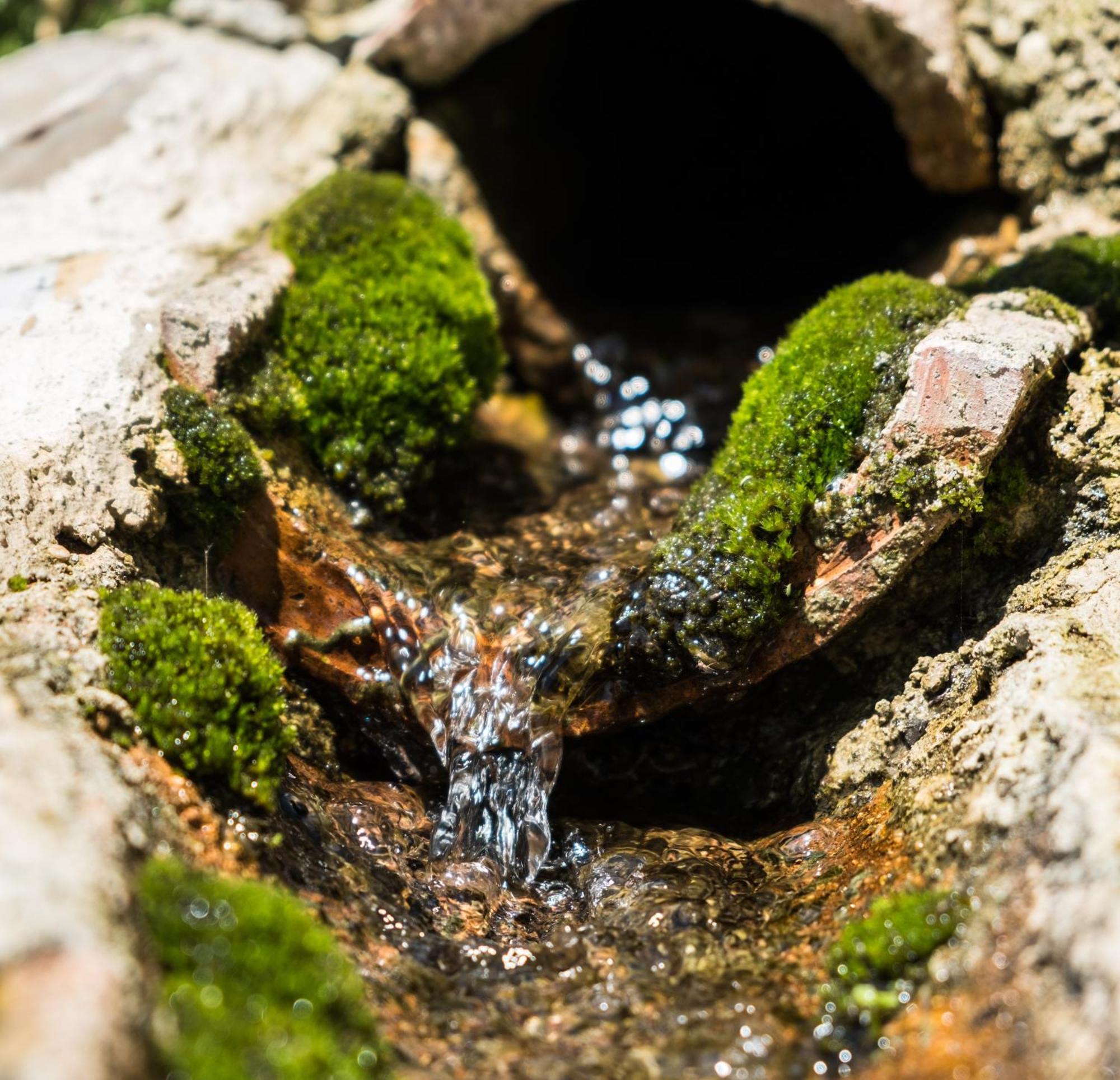 Azienda Agricola Biologica La Cardellina Tolfa Exteriér fotografie
